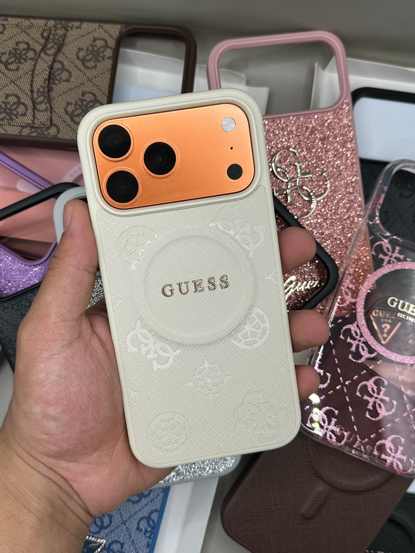 GUESS 17 PROMAX