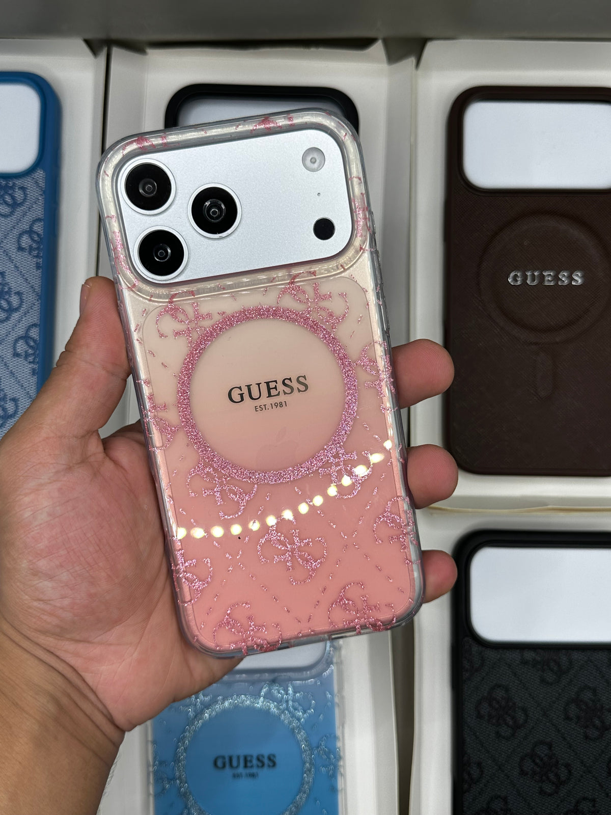 GUESS 17 PROMAX